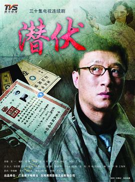 国产剧潜伏海报