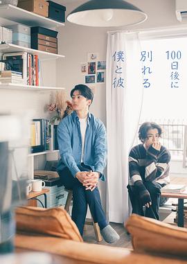 日剧100天后分手的我和他海报