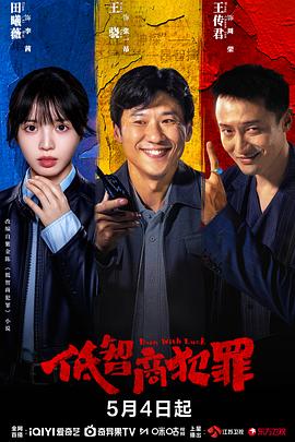 国产剧低智商犯罪海报