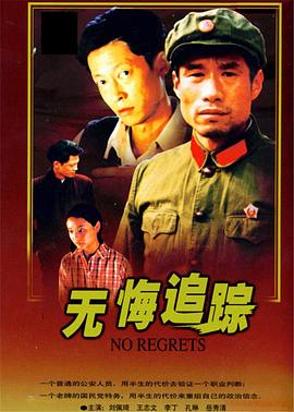 国产剧无悔追踪海报