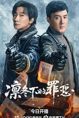 国产剧凛冬下的罪恶海报